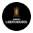 icon CONMEBOL Libertadores 3.0.9