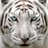 icon Big Cat Rescue 3.8.41