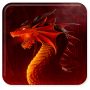 icon Dragon Live Wallpaper for Samsung Galaxy Grand Duos(GT-I9082)
