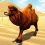 icon Wild Camel Racing Simulator for oppo F1