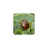 icon Insect pests 80.91.30
