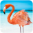 icon The Flamingo 1.0.7