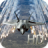 icon Plane Battle 3D 1.7