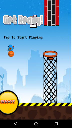 Birds Basketball