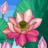 icon Senior Color 3.1