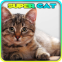 icon Super Cat 3D