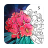 icon Coloring Book 1.761