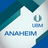 icon UBM Anaheim 7.4.0.0
