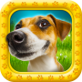 icon Dog Photo Frames for Doopro P2