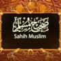icon Sahih Muslim (Deutsch) for oppo A57