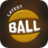 icon Latest Ball Race 1.1