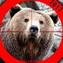 icon Bear Hunting 2015 3D