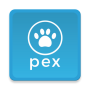 icon Pet Express CR