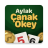 icon com.aylak.canak_okey Aylak Canak v1.0.0 Build: 2017