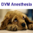 icon DVM Anesthesiology 2.21.8