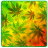 icon Weed Reggae Theme 4.76