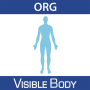 icon Skeleton Premium 16 (Org.) for LG Q6a