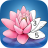 icon Zen Color 1.43.4