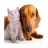 icon Dog and Cat pictures 1.3