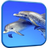icon Dolphins Video Live Wallpaper 5.0