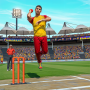 icon Cricket Game 3D: Bat Ball Game for Samsung Galaxy J5